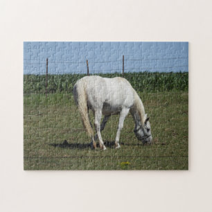 Quebra-cabeça Bonito Cavalo Branco
