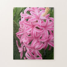Quebra-cabeça bonito de Hyacinth Rosa