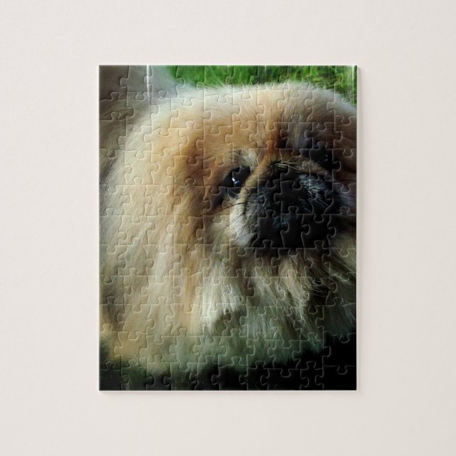 Quebra-cabeça bonito de Pekingese (Vertical)