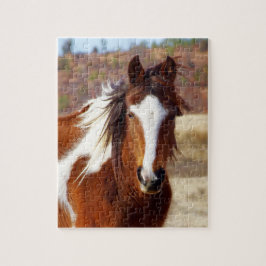Quebra-cabeça bonito do cavalo da pintura