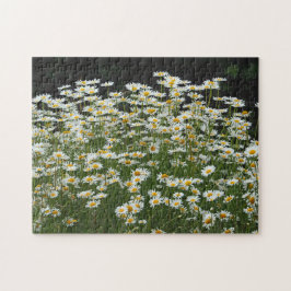 Quebra-cabeça Bonito Foto Floral do White Daisies