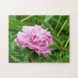 Quebra-cabeça Bonito Pink Peony