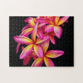 Quebra-cabeça Bonito Plumeria Rosa Foto Floral