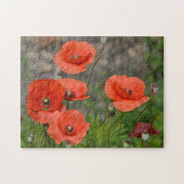 Quebra-cabeça Bonito Red Poppy (Horizontal)