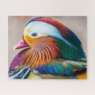 Quebra-cabeça Bonito Retrato de Pato de Mandarim laranja e verde