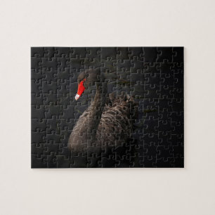 Quebra-cabeça Bonito Swan Negro com Bright Beak Vermelho