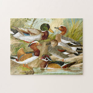 Quebra-cabeça Bonitos Patos Vintage