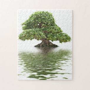 Quebra-cabeça Bonsais do Ficus