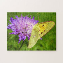 Borboleta Amarela Nublada Foto Puzzle e Caixa de P