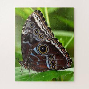 Quebra-cabeça Borboleta Escura Sentada sobre Folhas na Natureza