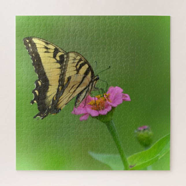 Quebra-cabeça Borboleta Gorda Na Zinnia (Vertical)
