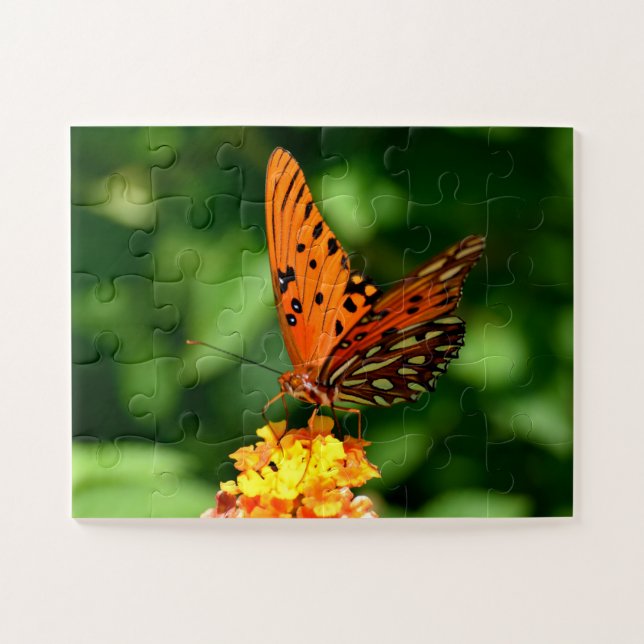 Quebra-cabeça Borboleta Gulf Fritillary Esticada  (Horizontal)