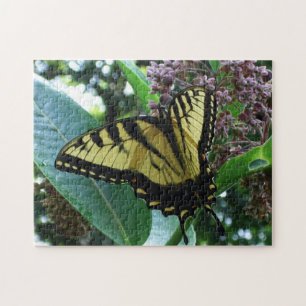 Quebra-cabeça Borboleta I de Swallowtail em Milkweed em Shenando