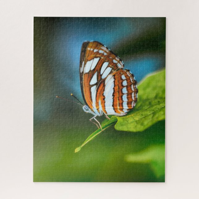 Quebra-cabeça Borboleta Listrada de Branco e Laranja (Vertical)