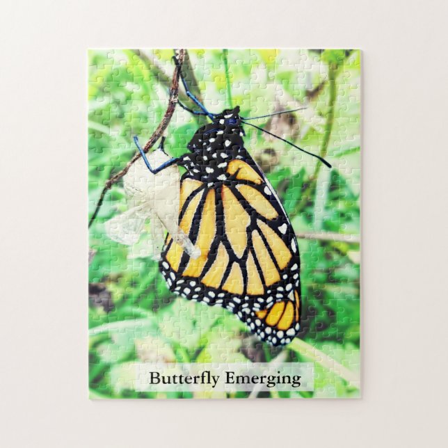 Quebra-cabeça Borboleta Monarca Eclodindo 252Pcs (Vertical)