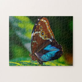 Quebra-cabeça Borboleta Morpho Peleides.