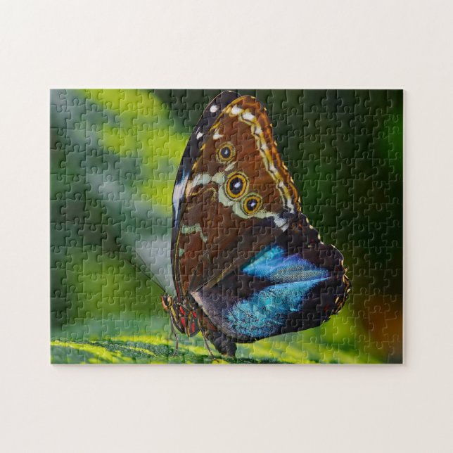 Quebra-cabeça Borboleta Morpho Peleides. (Horizontal)