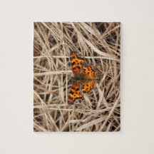 Borboleta na palha