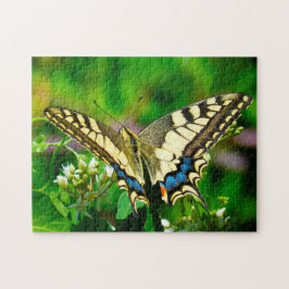 Quebra-cabeça Borboleta Papilio Machaon.