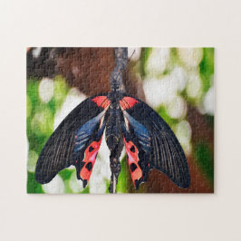 Quebra-cabeça Borboleta Papilio Rumanzovia.