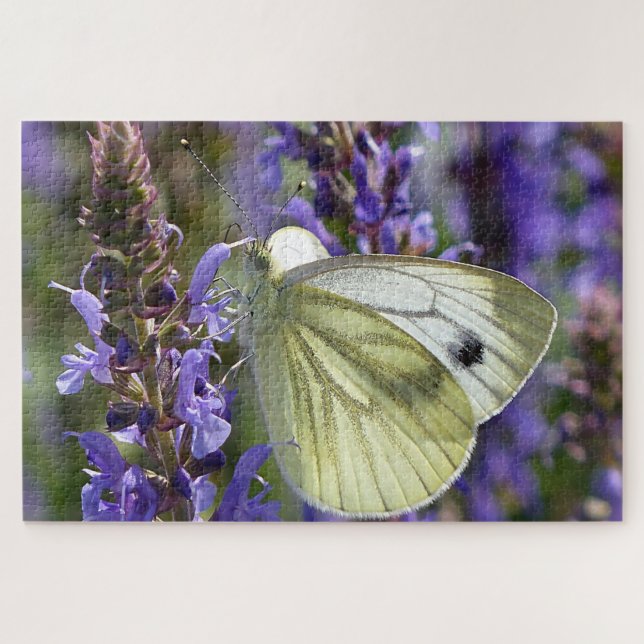 Quebra-cabeça Borboleta Pieris Rapae Branca. (Horizontal)
