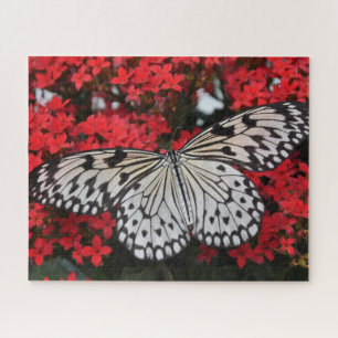 Quebra-cabeça Borboleta Preta e Branca em Bush Flor Vermelho