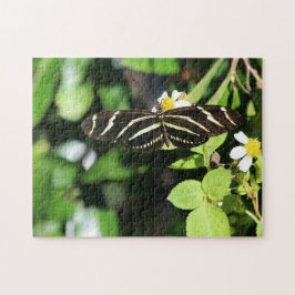 Quebra-cabeça Borboleta Zebra Longwing