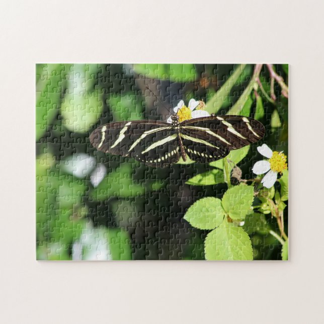 Quebra-cabeça Borboleta Zebra Longwing (Horizontal)