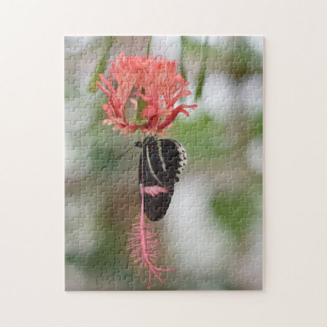 Quebra-cabeça Borboletas Borboletas Natureza Jardim Fotográfico (Vertical)