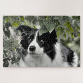 Quebra-cabeça Borda de Bosque Collie 1014 Peças