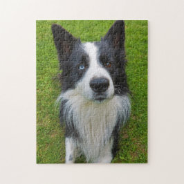 Quebra-cabeça Border Collie