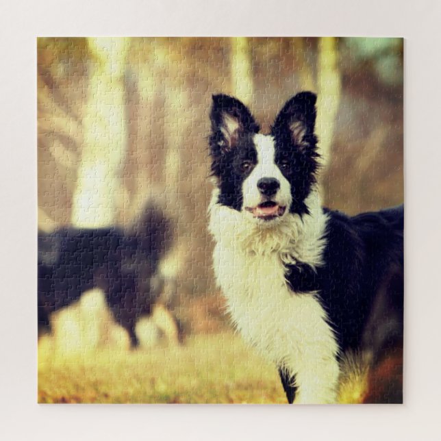 Quebra-cabeça Border Collie (Vertical)