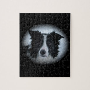 Quebra-cabeça Border collie