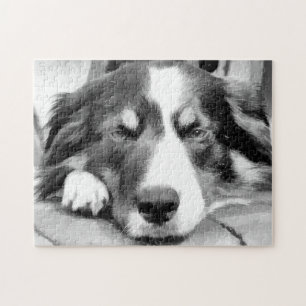 QUEBRA-CABEÇA BORDER COLLIE