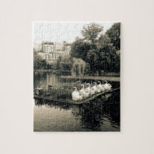 Boston Swan Boats in Black and White