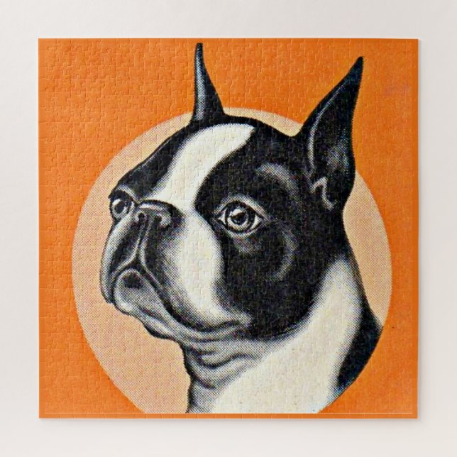Quebra-cabeça  Boston terrier (Vertical)