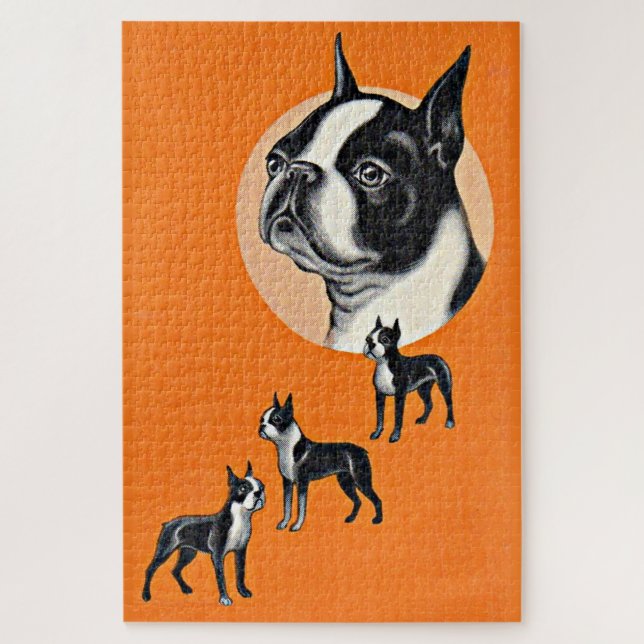 Quebra-cabeça Boston terriers (Vertical)