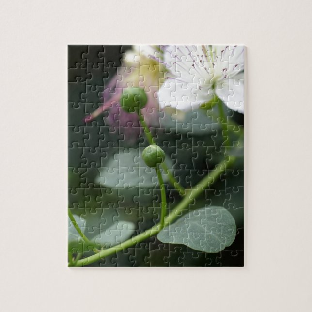 Quebra-cabeça Botões do arbusto da alcaparra, Capparis spinos. (Vertical)