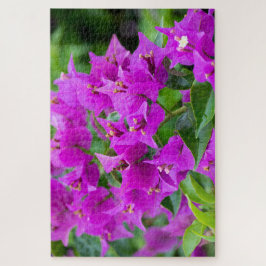 Quebra-cabeça Bougainvillea Botânica