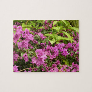 Quebra-cabeça Bougainvillea púrpura tropical Floral