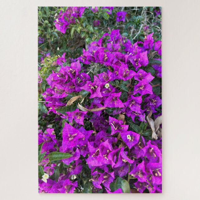 Quebra-cabeça Bougainvillea Roxa, Oakland  (Vertical)