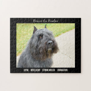 Quebra-cabeça Bouvier des Flandres Photo Dog Breed