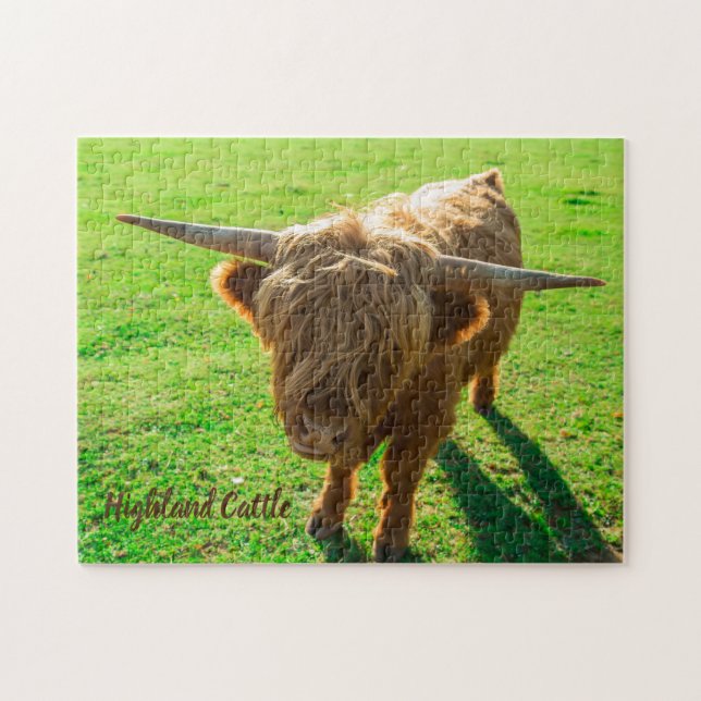 Quebra-cabeça Bovinos de terras altas para animais e amantes da  (Horizontal)