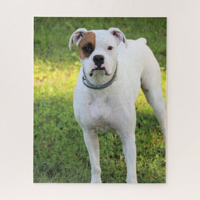 Quebra-cabeça Boxer (Vertical)