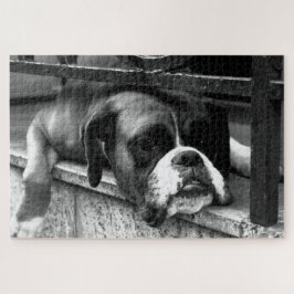 Quebra-cabeça Boxer Dog On Windows 20x30 1014pc jpcn