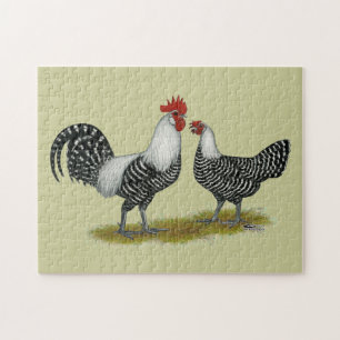 Quebra-cabeça Brakel Chickens