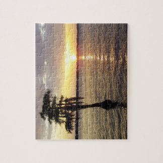 Quebra-cabeça branco do NC do lago