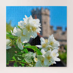 Quebra-cabeça Bright Blooms of Summer in London - 20x20 - 676 pc