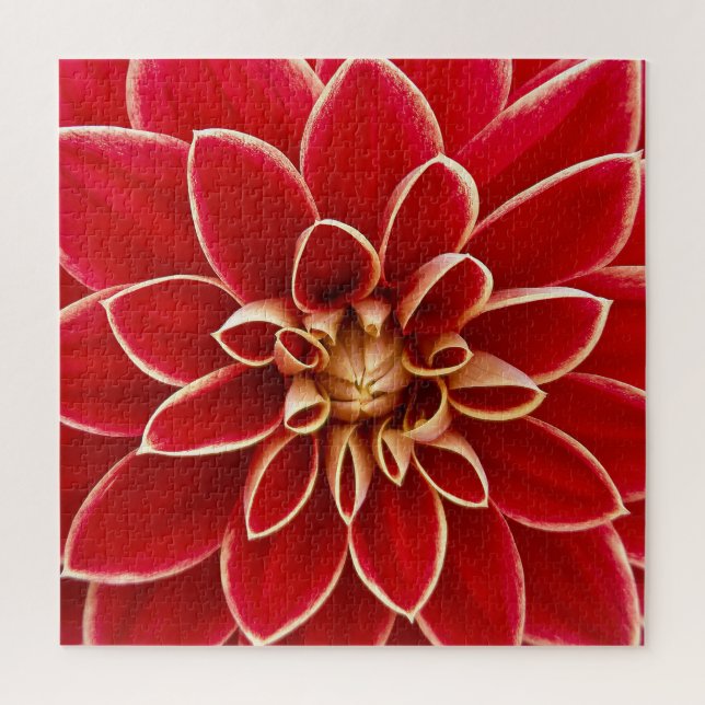 Quebra-cabeça Bright Red Dahlia Closeup (Vertical)