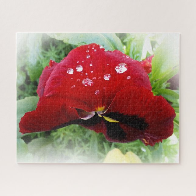 Quebra-cabeça Bright Red Pansy (Horizontal)